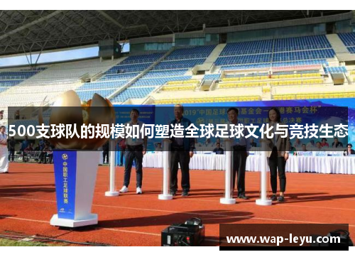 500支球队的规模如何塑造全球足球文化与竞技生态