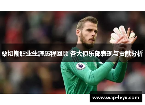 桑切斯职业生涯历程回顾 各大俱乐部表现与贡献分析